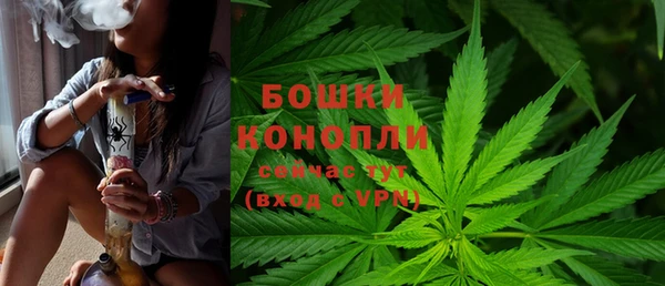МДПВ Медвежьегорск