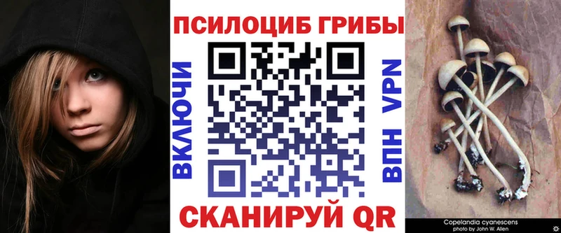 Псилоцибиновые грибы MAGIC MUSHROOMS  Купить закладки  Торжок 